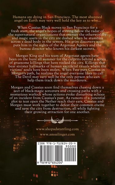 Produktbild: Fractured Souls (Fallen Messengers Book 1)