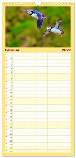 Produktbild: Familienplaner 2027 - Tieftaucher Papageitaucher mit 5 Spalten (Wandkalender, 21 x 45 cm) CALVENDO