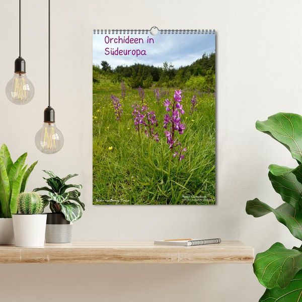 Produktbild: Orchideen in S&uuml;deuropa (Wandkalender 2026 DIN A3 hoch), CALVENDO Monatskalender