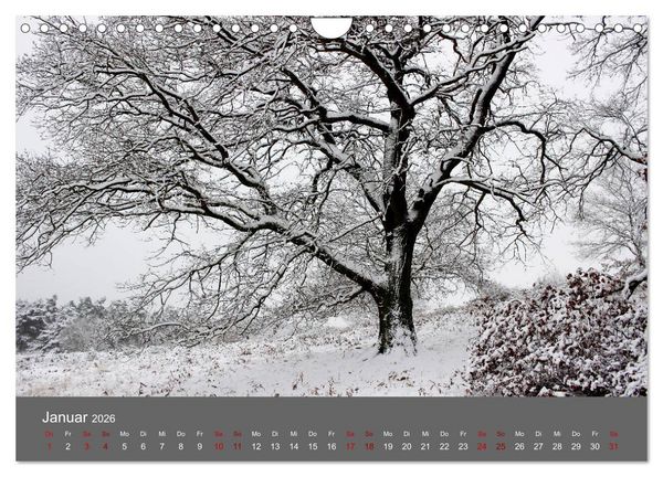 Produktbild: Wahner Heide - Aussichten und Begegnungen (Wandkalender 2026 DIN A4 quer), CALVENDO Monatskalender