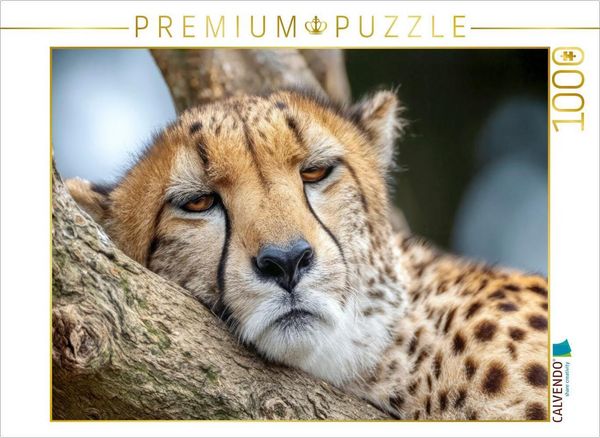 Produktbild: CALVENDO Puzzle Endlich eine Ruhepause | 1000 Teile Lege-Gr&ouml;&szlig;e 64x48cm Foto-Puzzle f&uuml;r gl&uuml;ckliche Stunden