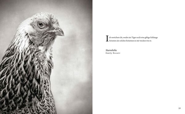 Produktbild: Literarische H&uuml;hner