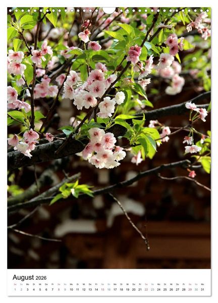 Produktbild: Japan - Kirschbl&uuml;ten (Wandkalender 2026 DIN A3 hoch), CALVENDO Monatskalender