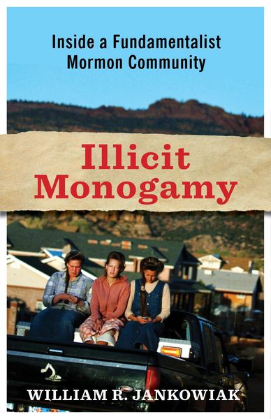 Produktbild: Illicit Monogamy