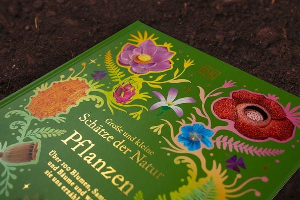 Produktbild: Gro&szlig;e und kleine Sch&auml;tze der Natur. Pflanzen