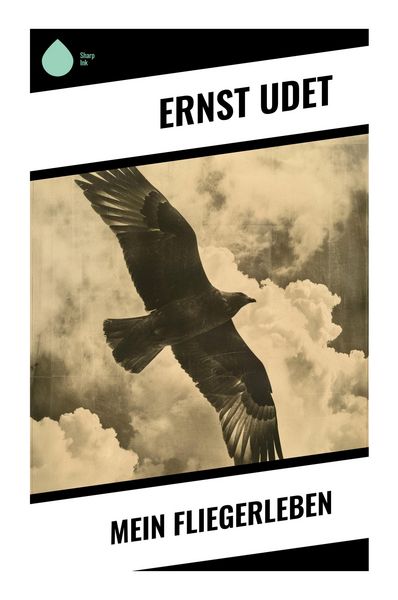 Produktbild: Mein Fliegerleben