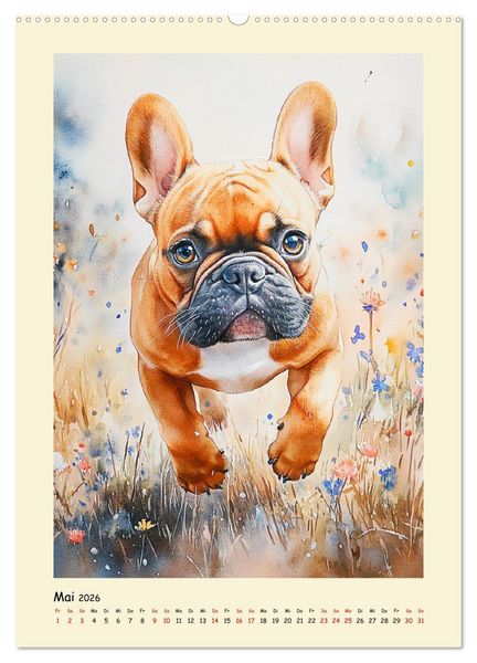 Produktbild: Charmante Bulldoggen. Franz&ouml;sische Lebensfreude auf vier Pfoten (Wandkalender 2026 DIN A2 hoch), CALVENDO Monatskalender