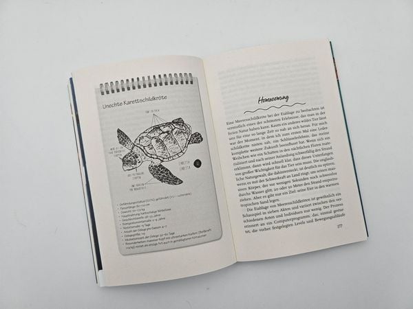 Produktbild: Meine Reise mit den Meeresschildkr&ouml;ten