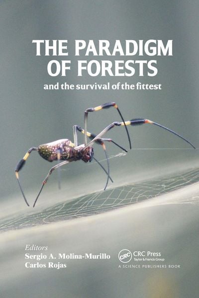 Produktbild: The Paradigm of Forests and the Survival of the Fittest