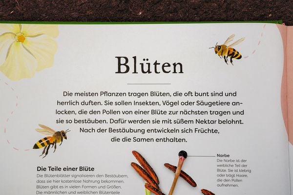 Große und kleine Schätze der Natur. Pflanzen