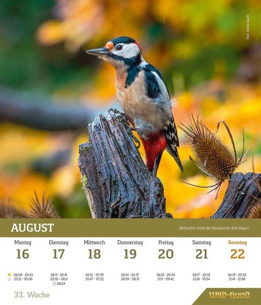Produktbild: WILD UND HUND Edition: Jagdkalender Wandvariante 2027