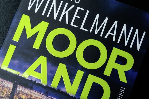 Produktbild: Moorland. Die Zwillinge