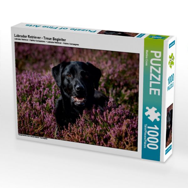 CALVENDO Puzzle Labrador Retriever - Treue Begleiter | 1000 Teile Lege-Größe 64x48cm Foto-Puzzle für glückliche Stunden