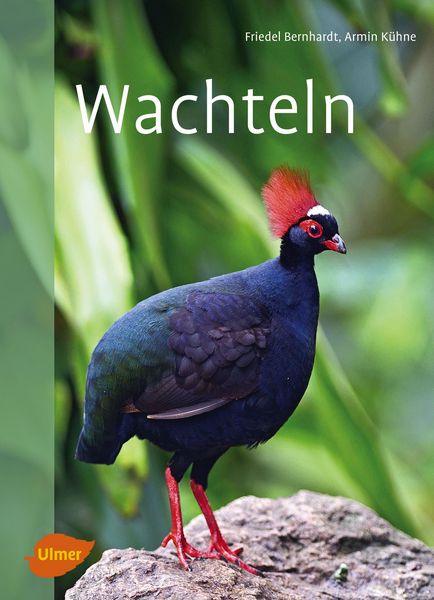 Produktbild: Wachteln