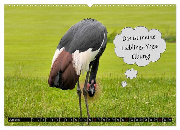 Produktbild: Wenn Tiere sprechen k&ouml;nnten! Der lustige Spr&uuml;che Kalender (Wandkalender 2026 DIN A2 quer), CALVENDO Monatskalender