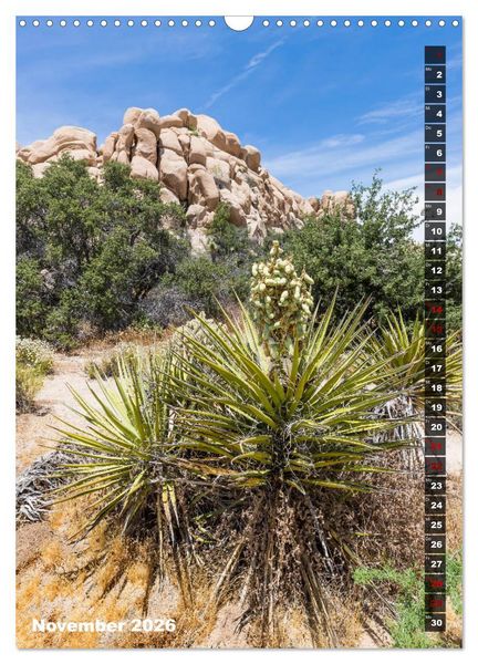 Produktbild: Impressionen aus dem JOSHUA TREE NATIONAL PARK (Wandkalender 2026 DIN A3 hoch), CALVENDO Monatskalender
