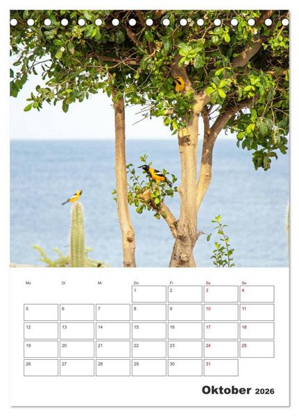 Produktbild: Curacao - Terminplaner (Tischkalender 2026 DIN A5 hoch), CALVENDO Monatskalender