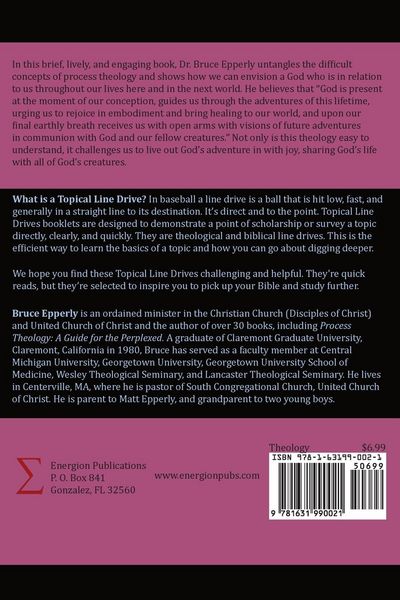 Produktbild: Process Theology