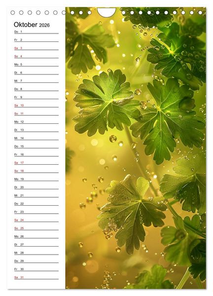 Produktbild: Kr&auml;uterfrische (Wandkalender 2026 DIN A4 hoch), CALVENDO Monatskalender