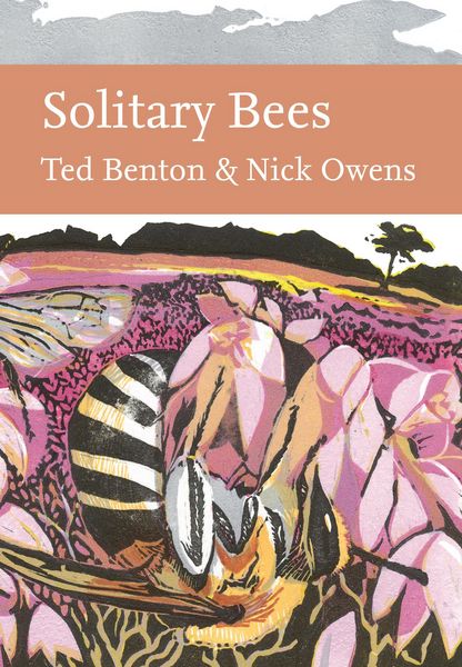 Produktbild: SOLITARY BEES_NN LIB146 HB