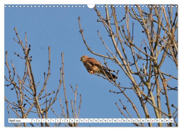 Produktbild: Zauberhaftes Mangfalltal (Wandkalender 2026 DIN A3 quer), CALVENDO Monatskalender