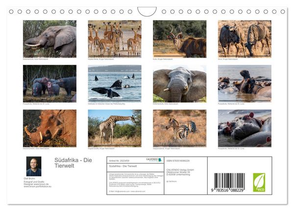 Produktbild: S&uuml;dafrika - Die Tierwelt (Wandkalender 2026 DIN A4 quer), CALVENDO Monatskalender