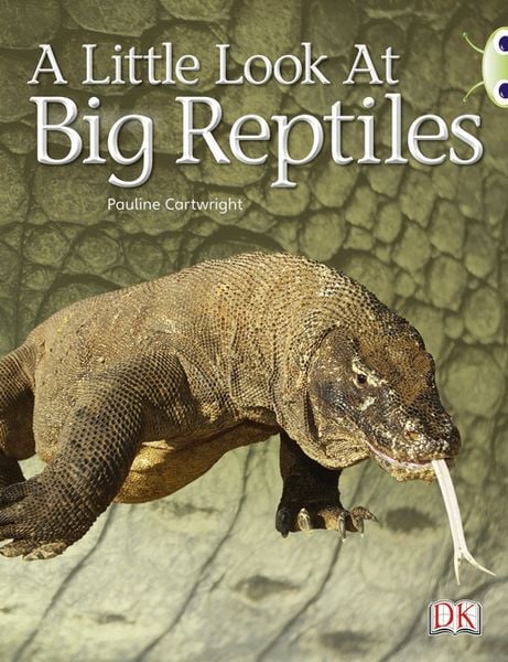 Produktbild: Bug Club Guided Non Fiction Year 1 Blue B A Little Look at Big Reptiles