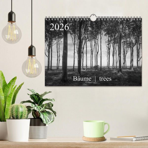 Produktbild: B&auml;ume trees 2026 (Wandkalender 2026 DIN A4 quer), CALVENDO Monatskalender