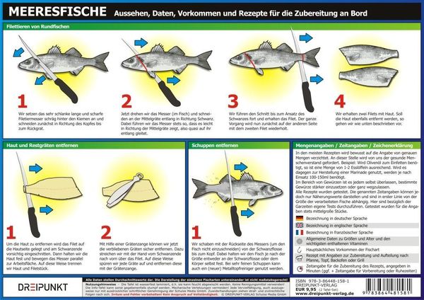 Produktbild: Info-Tafel-Set Meeresfische