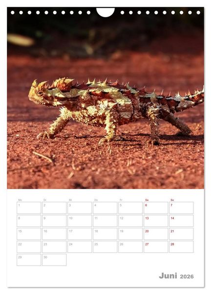 Produktbild: g'day Australien 2026 (Wandkalender 2026 DIN A4 hoch), CALVENDO Monatskalender