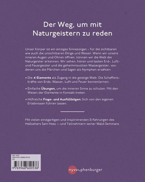 Produktbild: Die Welt der Naturgeister - Das Arbeitsbuch