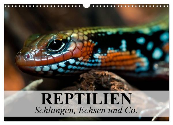 Artikelfoto