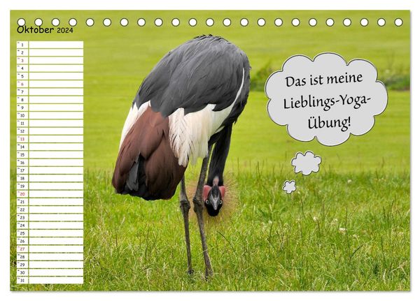 'Wenn Tiere Sprechen könnten! Der lustige Sprüche Geburtstagskalender