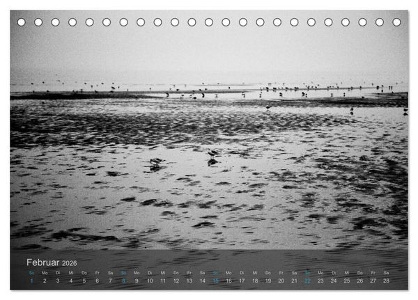 Produktbild: Seest&uuml;cke. Schwarzwei&szlig;e Nordseeimpressionen 2026 (Tischkalender 2026 DIN A5 quer), CALVENDO Monatskalender