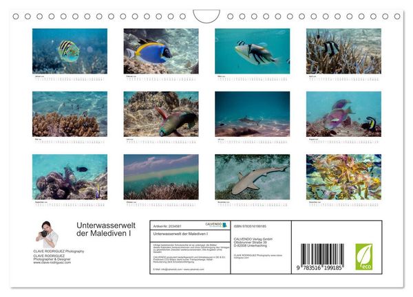 Produktbild: Unterwasserwelt der Malediven I (Wandkalender 2026 DIN A4 quer), CALVENDO Monatskalender