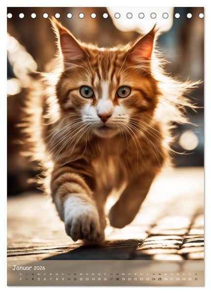 Produktbild: In den Stra&szlig;en der Stadt - Tiere mitten unter uns (Tischkalender 2026 DIN A5 hoch), CALVENDO Monatskalender