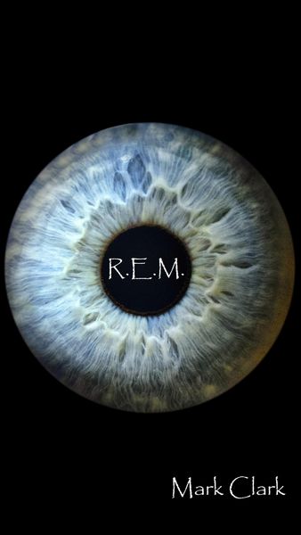 Produktbild: R.E.M. (The DNA Trilogy, #2)