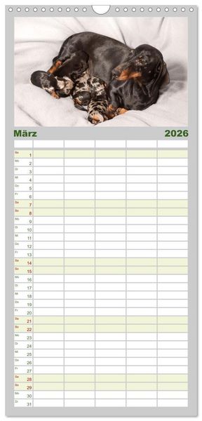Produktbild: Familienplaner 2026 - Dackelblicke - Lassen Herzen erw&auml;rmen. mit 5 Spalten (Wandkalender, 21 x 45 cm) CALVENDO