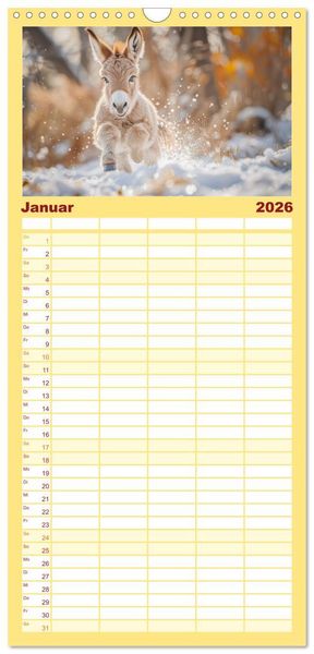Produktbild: Familienplaner 2026 - Lustige Eselgeschichten mit 5 Spalten (Wandkalender, 21 x 45 cm) CALVENDO