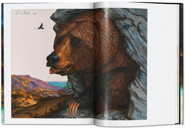 Produktbild: Walton Ford