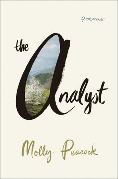 Produktbild: The Analyst