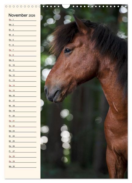 Produktbild: Isl&auml;nder Geburtstagskalender (Wandkalender 2026 DIN A3 hoch), CALVENDO Monatskalender