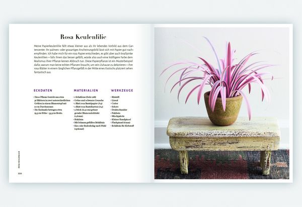 Produktbild: Zimmerpflanzen aus der Papierwerkstatt