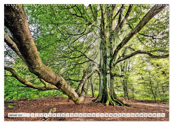 Produktbild: Naturpark Reinhardswald - Wo die Sababurg auf die Weser trifft (Wandkalender 2027 DIN A2 quer), CALVENDO Monatskalender