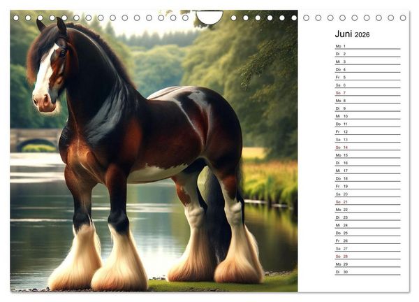 Produktbild: Kaltbl&uuml;ter - Die majest&auml;tische Kraft und Sch&ouml;nheit der Kaltblutpferde (Wandkalender 2026 DIN A4 quer), CALVENDO Monatskalender