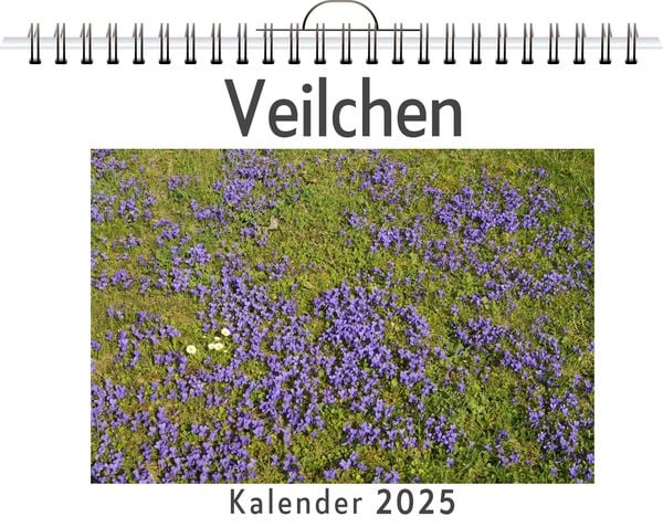 Produktbild: Veilchen