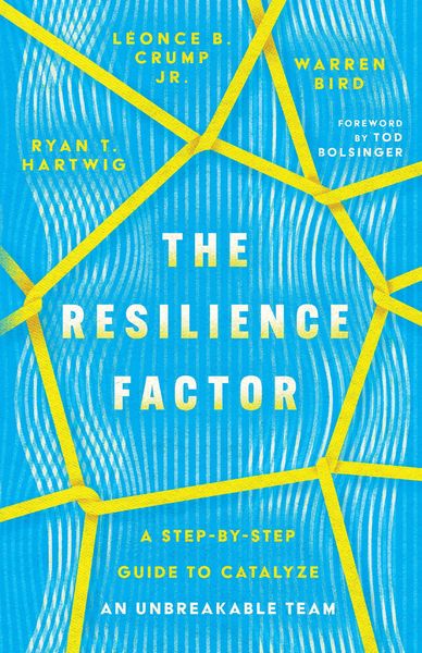 Produktbild: The Resilience Factor