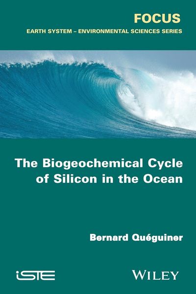 Produktbild: The Biogeochemical Cycle of Silicon in the Ocean