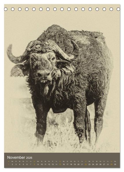 Produktbild: Afrikas Tierwelt - Sepia-Art (Tischkalender 2026 DIN A5 hoch), CALVENDO Monatskalender