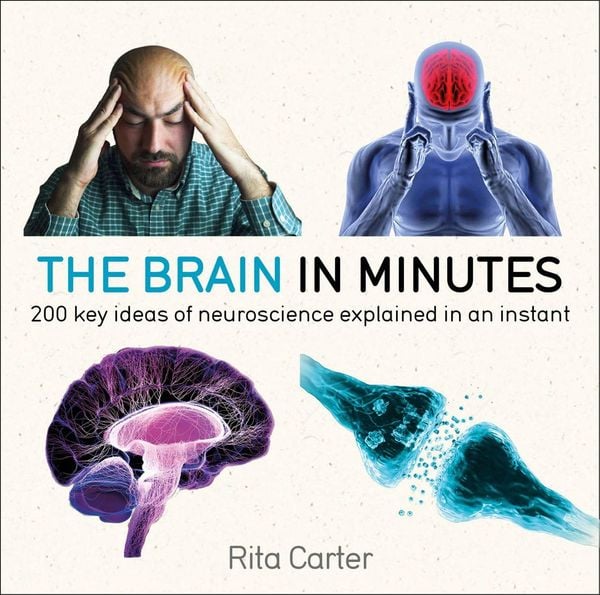 Produktbild: The Brain in Minutes
